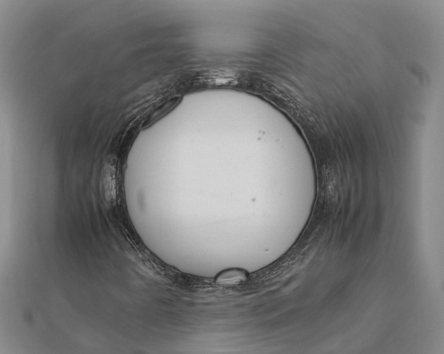 X0000112111442200908251201