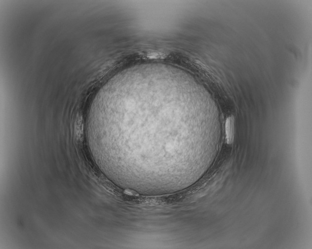 X0000112111443200908251201