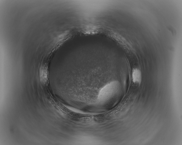 X0000112111444200908251201