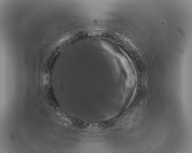 X0000112111445200908251201