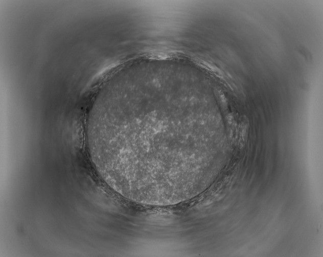 X0000112111446200908251201