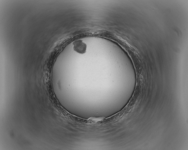 X0000112111447200908251201