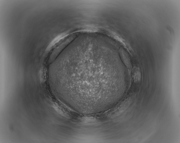 X0000112111448200908251201