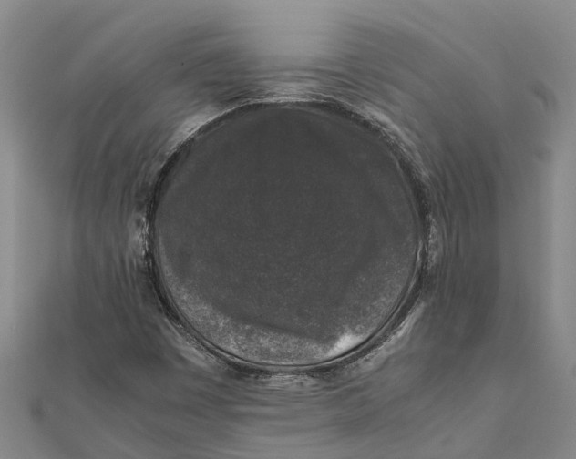 X0000112111449200908251201