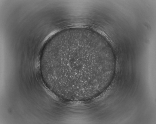 X0000112111450200908251201