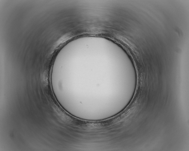 X0000112111451200908251201