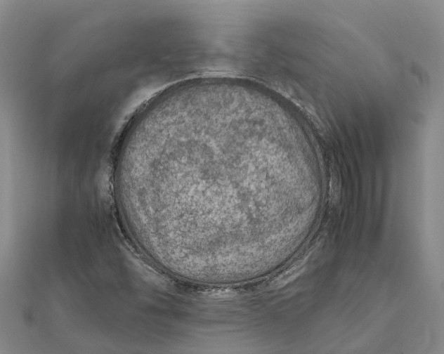 X0000112111454200908251201