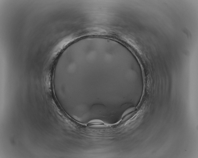 X0000112111455200908251201