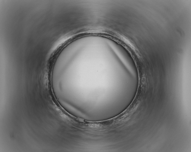 X0000112111456200908251201