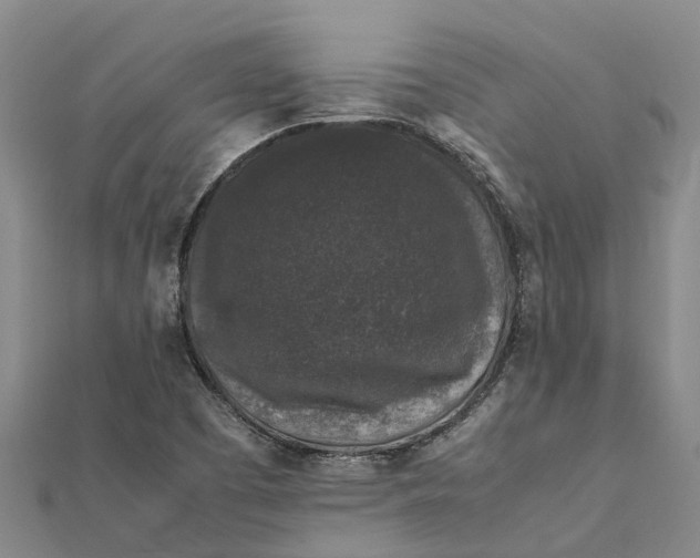 X0000112111457200908251201