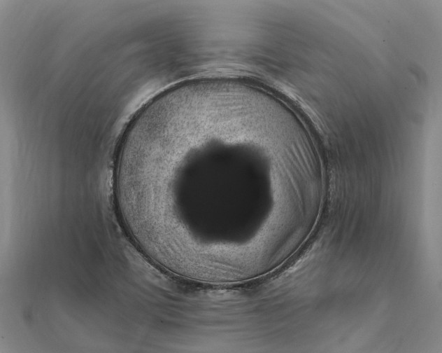 X0000112111459200908251201