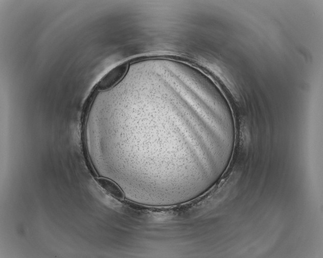 X0000112111460200908251201