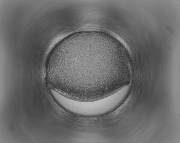 X0000112111461200908251201