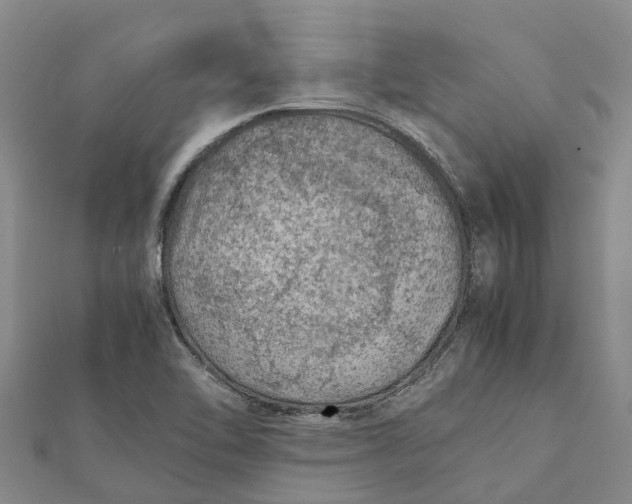 X0000112111462200908251201