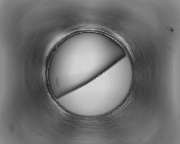 X0000112111464200908251201