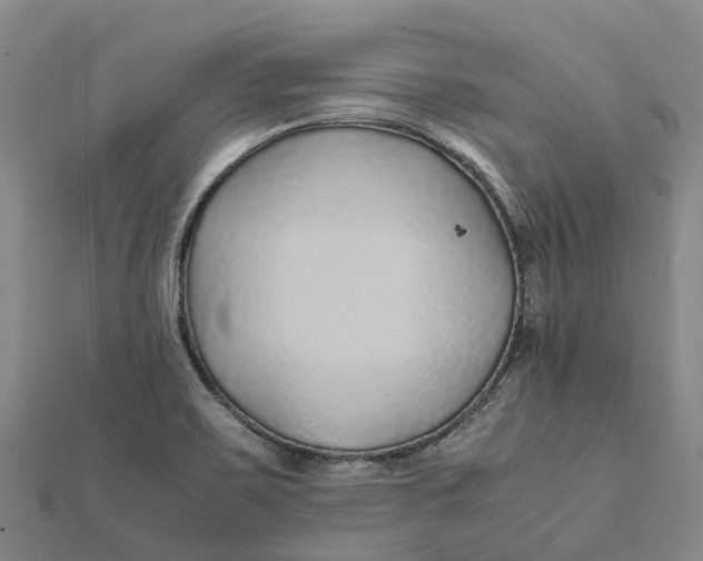 X0000112111467200908251201