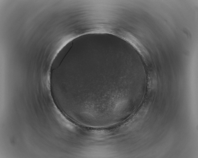 X0000112111468200908251201