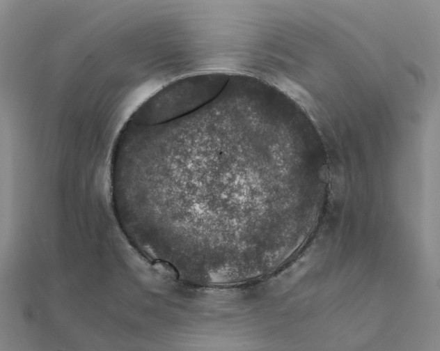 X0000112111469200908251201