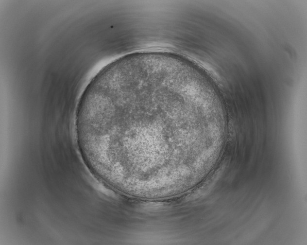 X0000112111470200908251201