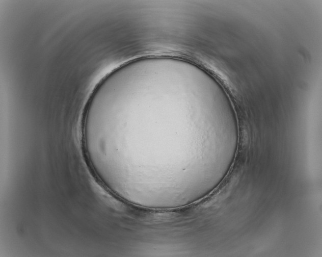 X0000112111471200908251201