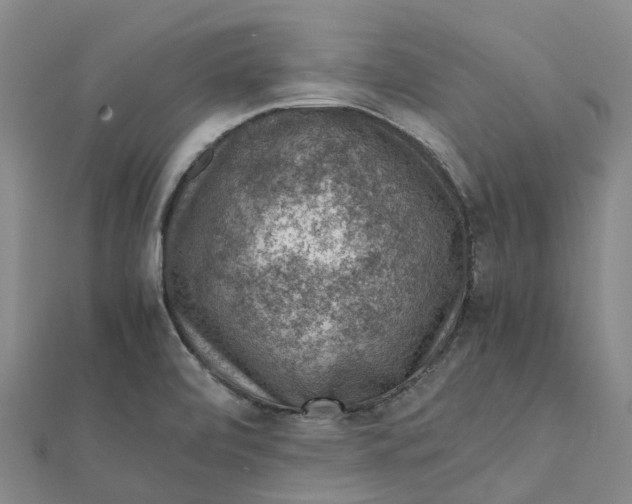 X0000112111472200908251200