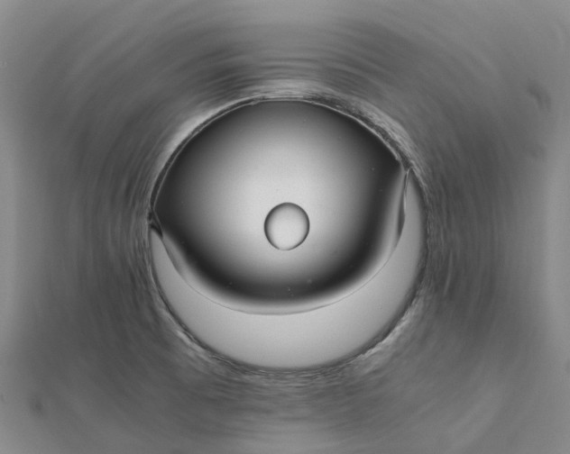 X0000112111473200908251200