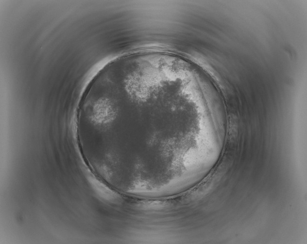 X0000112111474200908251200