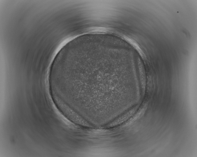 X0000112111475200908251200