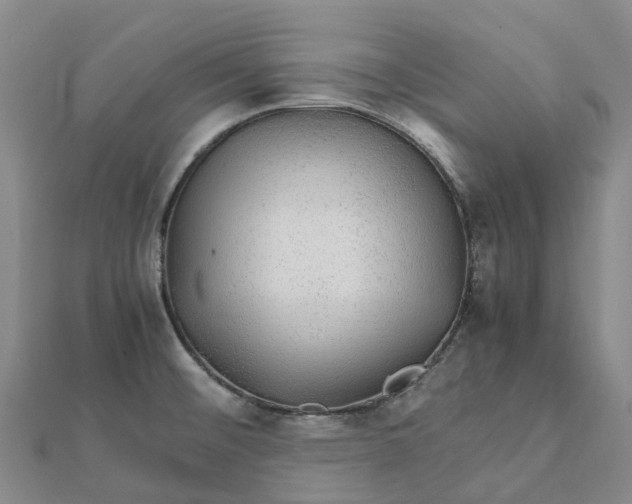 X0000112111476200908251200