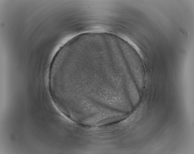 X0000112111477200908251200