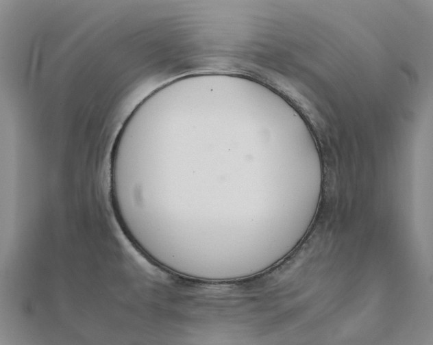 X0000112111479200908251200