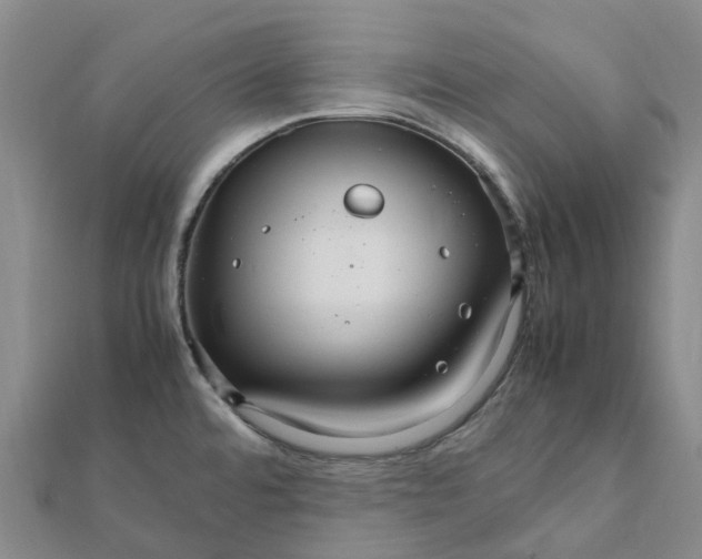 X0000112111480200908251200