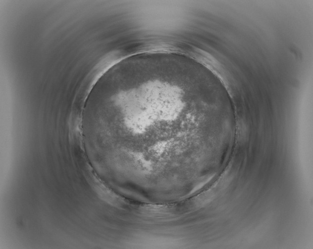 X0000112111481200908251200