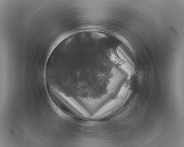 X0000112111482200908251200