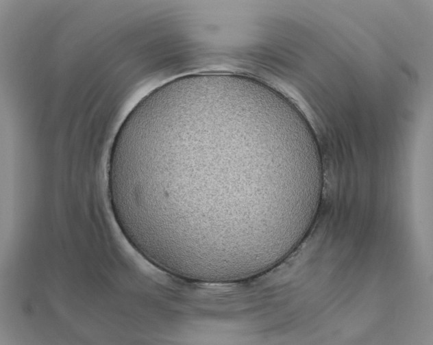 X0000112111483200908251200