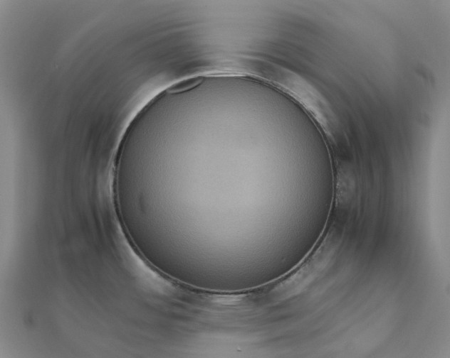 X0000112111484200908251200