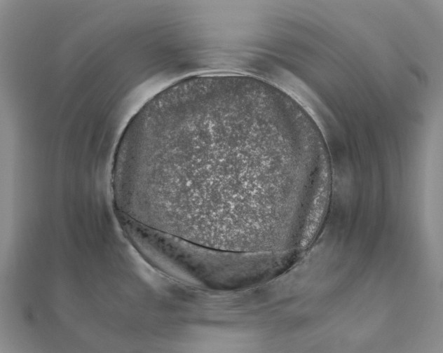 X0000112111485200908251200