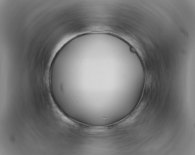 X0000112111486200908251200