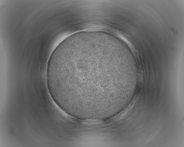 X0000112111487200908251200