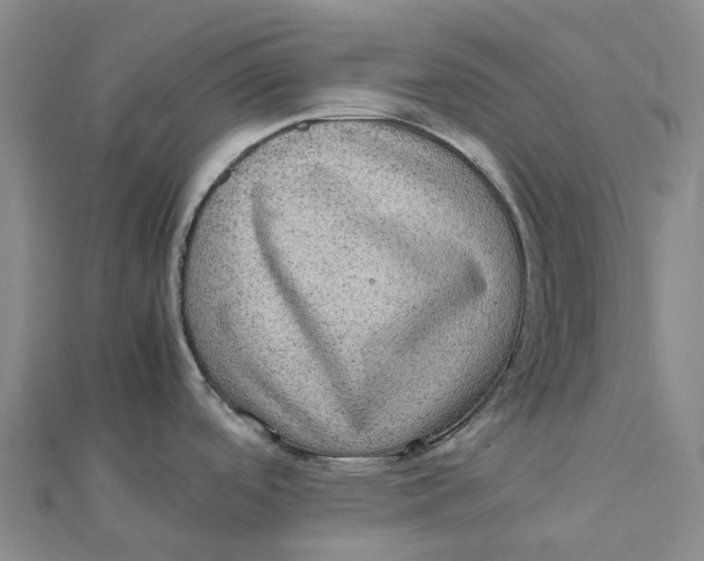 X0000112111488200908251200