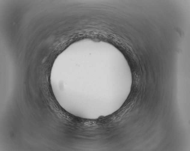 X0000112111489200908251200