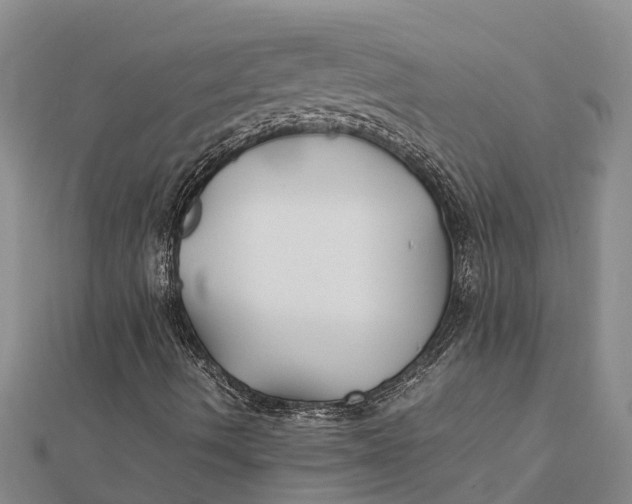 X0000112111490200908251200