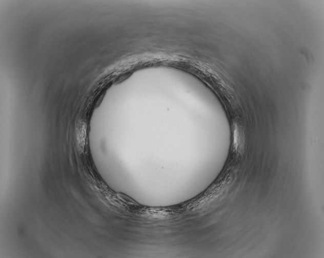 X0000112111492200908251200