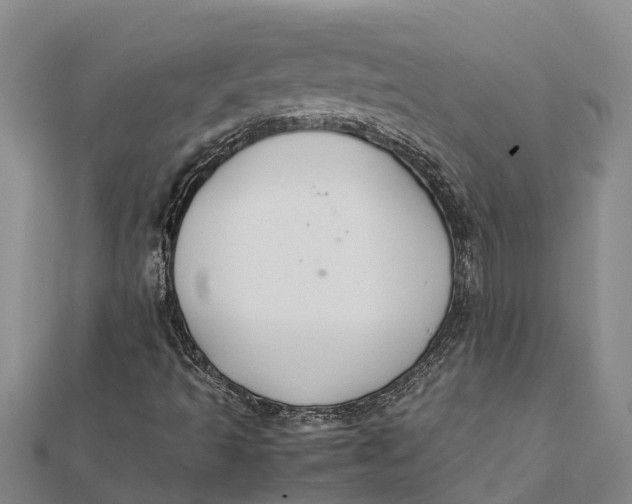 X0000112111493200908251200