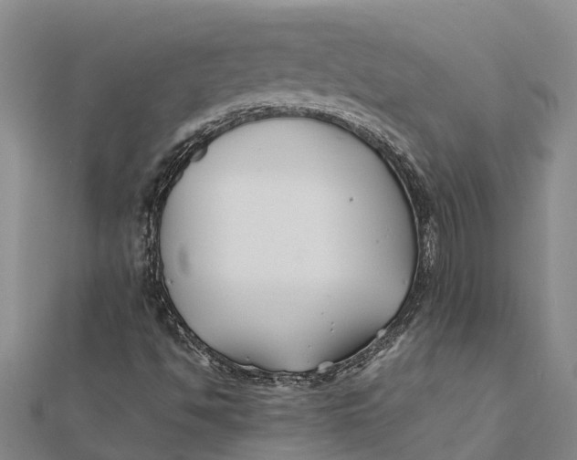 X0000112111494200908251200