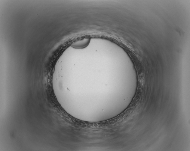 X0000112111495200908251200