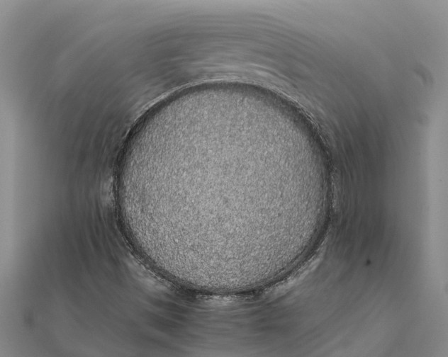 X0000112111497200908251200