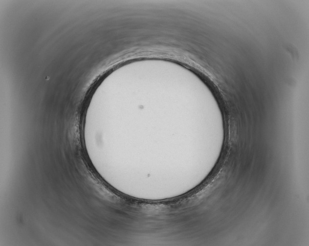 X0000112111498200908251200