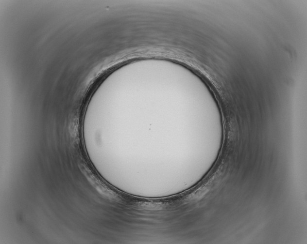 X0000112111499200908251200