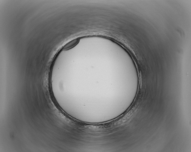 X0000112111500200908251200